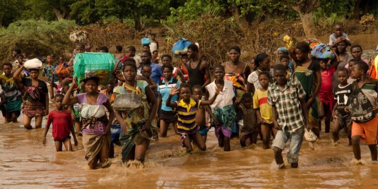 Afrique de l’Ouest : des inondations déciment des vies et des terres cultivées