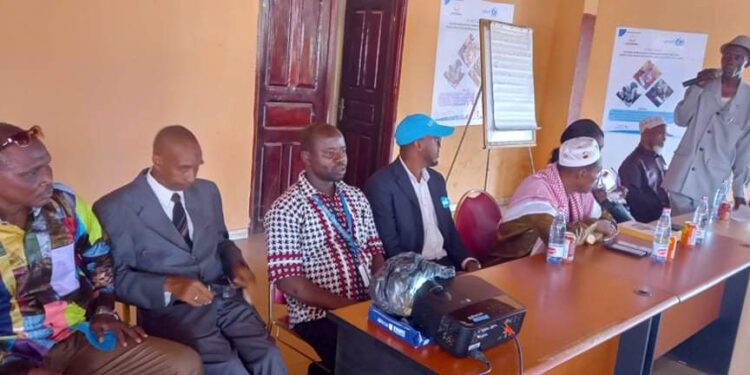 Boké-Développement: Elus locaux et Cadres des services déconcentrés renforcent leurs capacités en mobilisation des Ressources locales dans les Communes de Kamsar et Koba