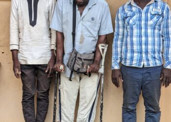 Trafic d’espèces protégées : trois trafiquants d’ivoire arrêtés puis déférés