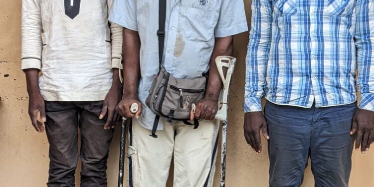 Trafic d’espèces protégées : trois trafiquants d’ivoire arrêtés puis déférés