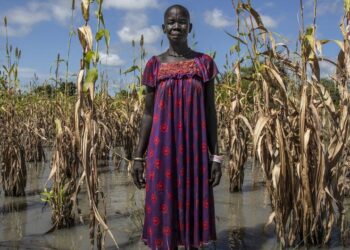 Il faut que les promesses d’aide à l’adaptation climatique pour les pays en développement soient tenues (ONU)