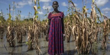 Il faut que les promesses d’aide à l’adaptation climatique pour les pays en développement soient tenues (ONU)