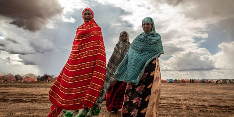 Climat : les huit dernières années en passe de devenir les plus chaudes jamais enregistrées