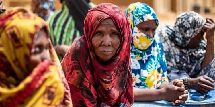 Mali : l’ONU condamne une attaque meurtrière contre un camp de déplacés dans la région de Gao