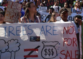 S’adapter ou mourir de faim : à la COP27, les défis et solutions agricoles face au changement climatique