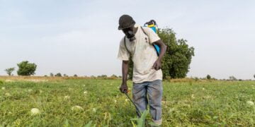 Burkina Faso : le Fonds africain de développement va investir plus de 40 millions de dollars pour développer des chaînes de valeurs avicoles, agricoles et piscicoles