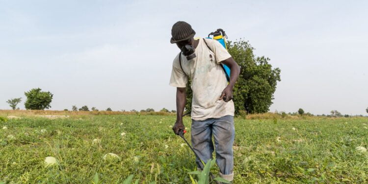 Burkina Faso : le Fonds africain de développement va investir plus de 40 millions de dollars pour développer des chaînes de valeurs avicoles, agricoles et piscicoles