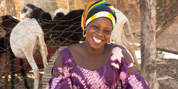 Sénégal : près de 40 millions d’euros de la Banque africaine de développement pour développer la production et la productivité du cheptel