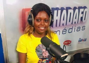 Mines-Médias: Le PDG de la société GGE et fondateur de la fondation MAFAC, Dr Makongo accompagne la Presse guinéenne dans la recherche de la connaissance de la stratégie minière ivoirienne