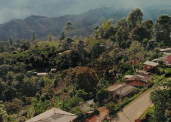 Colombie : l’ONU salue les efforts de dialogue et de réformes en vue d’une paix durable