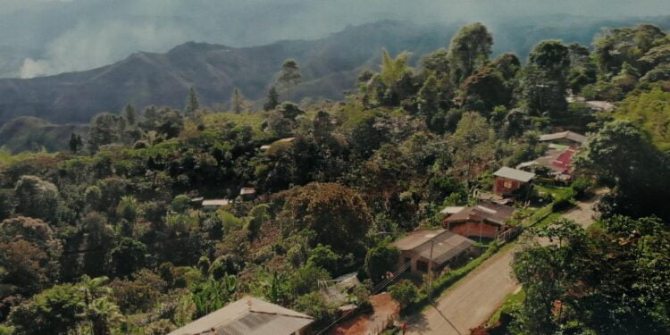 Colombie : l’ONU salue les efforts de dialogue et de réformes en vue d’une paix durable