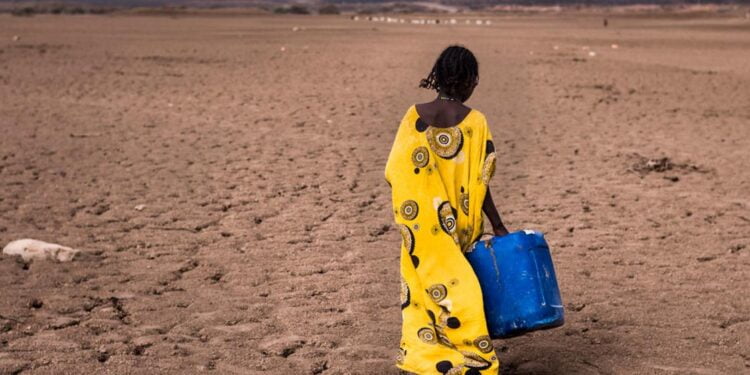 Climat : les huit dernières années ont été les plus chaudes jamais enregistrées