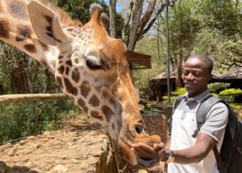 INTERVIEW/ TCHEYI Prenam, coordonnateur national par intérim de l’ONG EAGLE-Togo : «Une parfaite collaboration avec les autorités et des succès de nos activités »