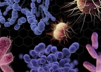 La crise climatique aggrave le danger mortel des superbactéries, alerte le PNUE