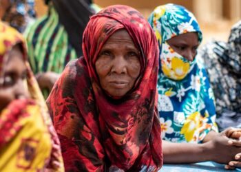 Mali : les autorités de transition doivent respecter la liberté d’expression et d’association, déclare un expert de l’ONU