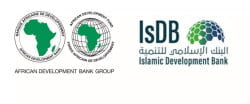 La Groupe de la Banque africaine de développement (BAD) et la Banque islamique de développement (BID) conjuguent leurs efforts pour renforcer les systèmes de défense sanitaires d’Afrique en misant sur l’industrie pharmaceutique