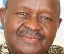 Masque D’mba (Nimba) Branding-pays de la République de Guinée ou pas ?