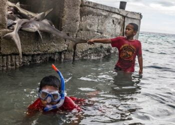 L’Assemblée générale va demander l’avis de la CIJ sur l’action climatique