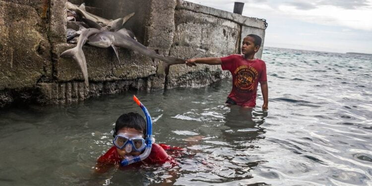 L’Assemblée générale va demander l’avis de la CIJ sur l’action climatique