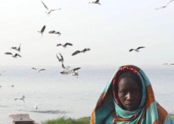 Le Lac Tchad bientôt couvert par le cadre juridique de la Convention sur l’eau