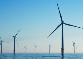 Les énergies renouvelables ont ralenti la hausse des émissions de CO2 (AIE)