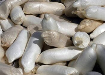 Le trafic de cocaïne augmente après le ralentissement lié à la COVID-19