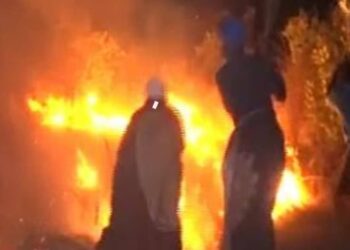 Boké-Environnement: Un feux mystérieux ravage plusieurs champs d’anacardes dans les secteurs de Gogoroya et Ntoniya…