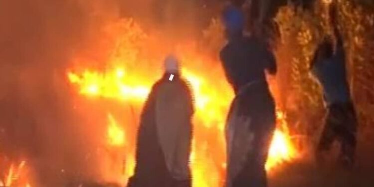 Boké-Environnement: Un feux mystérieux ravage plusieurs champs d’anacardes dans les secteurs de Gogoroya et Ntoniya…