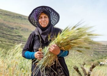 Près de la moitié de la population mondiale vit dans des ménages liés aux systèmes agroalimentaires