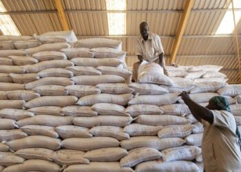 Combats au Soudan : le PAM suspend ses opérations après la mort de 3 employés