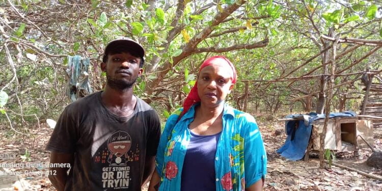Boké/Femme et le Développement : disposant plus de 80 ha d’anacarde, Madame Diallo, Nassouroulaye Deen Chérif est en quête de partenaires