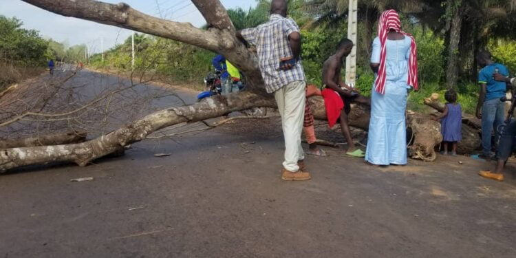 Boké-Manifs: Encore des barricades dans les rues de Kolaboui