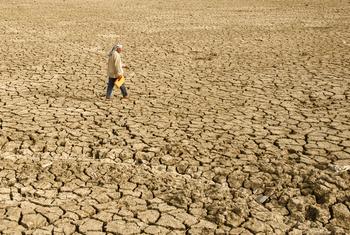 Climat : le monde doit se préparer à des températures records provoquées par El Niño, selon l’OMM