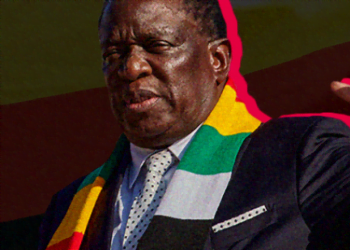 Zimbabwe   Une loi “patriotique” menace les journalistes, à deux mois des élections générales 