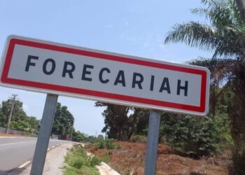 Forécariah : Pourquoi la route nationale N°4 mérite d’être baptisée Sa Majesté Almamy Maléguy Gbéli Touré ? (Par Alseny Farenta Camara)