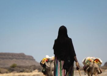 Les chocs climatiques risquent d’aggraver la situation de points chauds déjà fragiles, selon le Conseil de sécurité