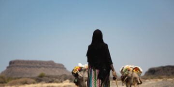 Les chocs climatiques risquent d&rsquo;aggraver la situation de points chauds déjà fragiles, selon le Conseil de sécurité