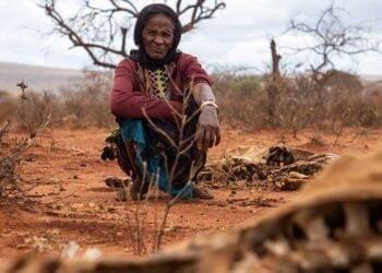 « Ne laissez pas la crise climatique à nos enfants », déclare le chef des droits humains de l’ONU