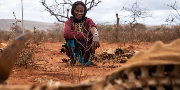 « Ne laissez pas la crise climatique à nos enfants », déclare le chef des droits humains de l’ONU