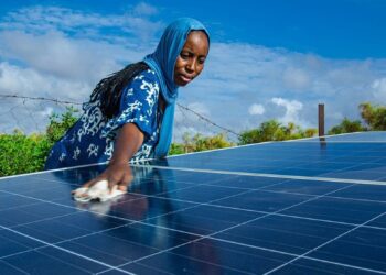 Les flux d’investissement vers l’Afrique ont chuté en 2022 (CNUCED)