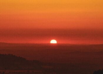 Juillet sera probablement le mois le plus chaud jamais enregistré, selon l’OMM