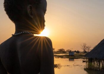 Les contentieux liés au climat ont plus que doublé en cinq ans