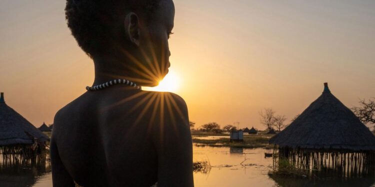 Les contentieux liés au climat ont plus que doublé en cinq ans