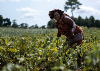 Côte d’Ivoire : la Banque africaine de développement veut renforcer le développement des infrastructures et des chaînes de valeur industrielles et agricoles pour la période 2023-2028