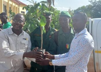 Boké-Campagne de reboisement 2023: Le Réseau Environnement Bauxite (REB) offre 400 plants à l’IREDD