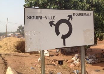 Environnement: les autorités préfectorales de Siguiri lancent une vaste campagne de reboisement