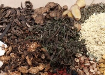 En Inde, un Sommet de l’OMS aboutit à des engagements en faveur de la médecine traditionnelle