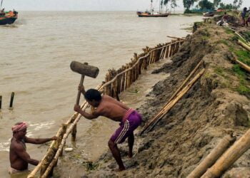 Le chef de l’Assemblée générale met en garde contre le naufrage des « greniers du monde »