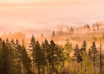 « L’effondrement climatique a commencé », alerte le chef de l’ONU