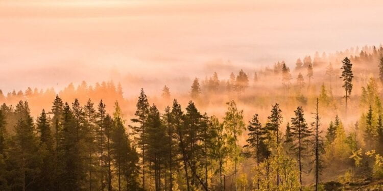 « L’effondrement climatique a commencé », alerte le chef de l’ONU